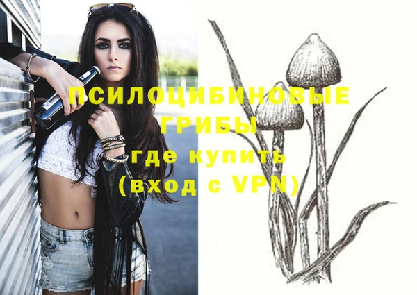 каннабис Алексеевка