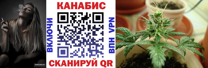 Каннабис ГИДРОПОН Жуковка